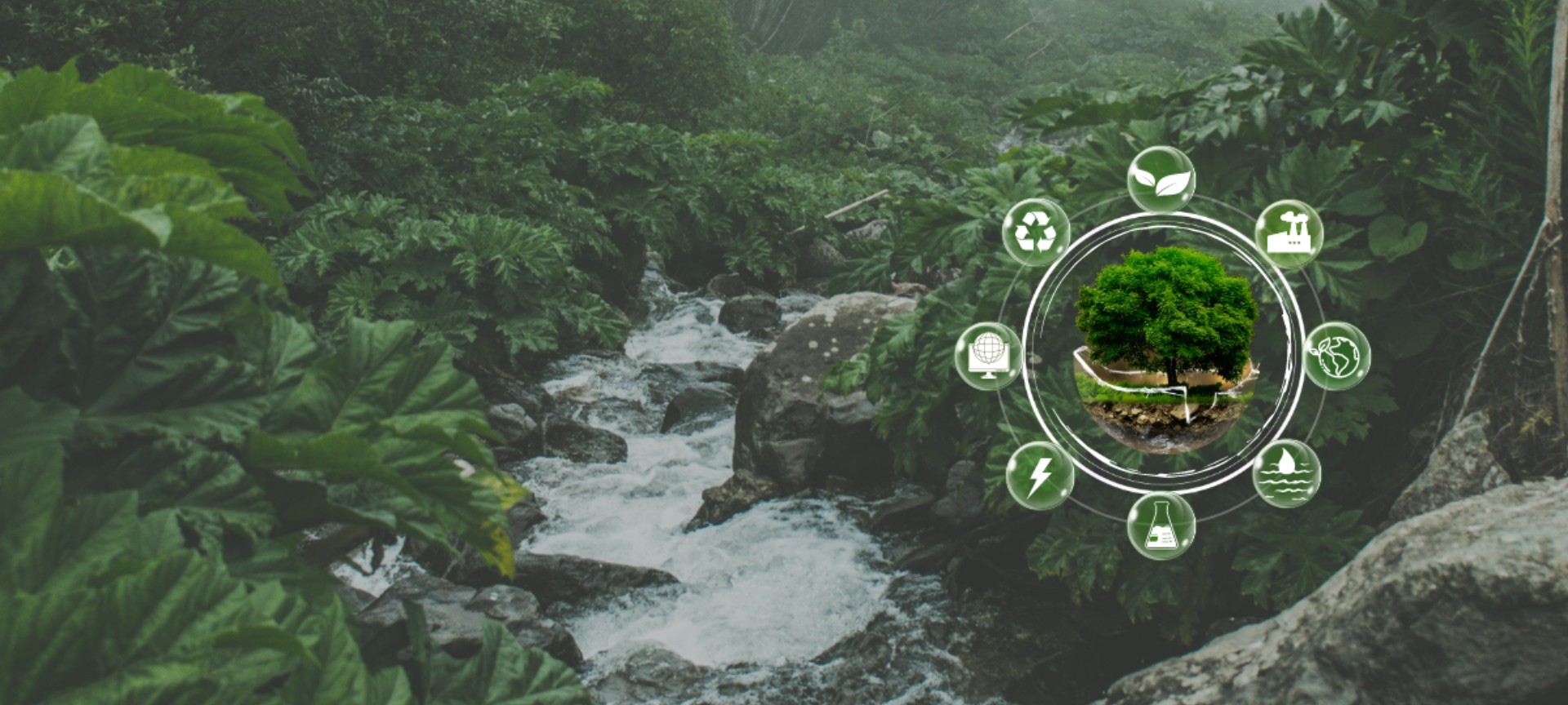 licenciatura tecnologias gestao ambiente